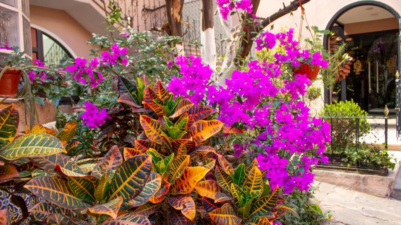 Mansion Mijashe Wellness & Travel House Hotel Morelia Eksteriør billede