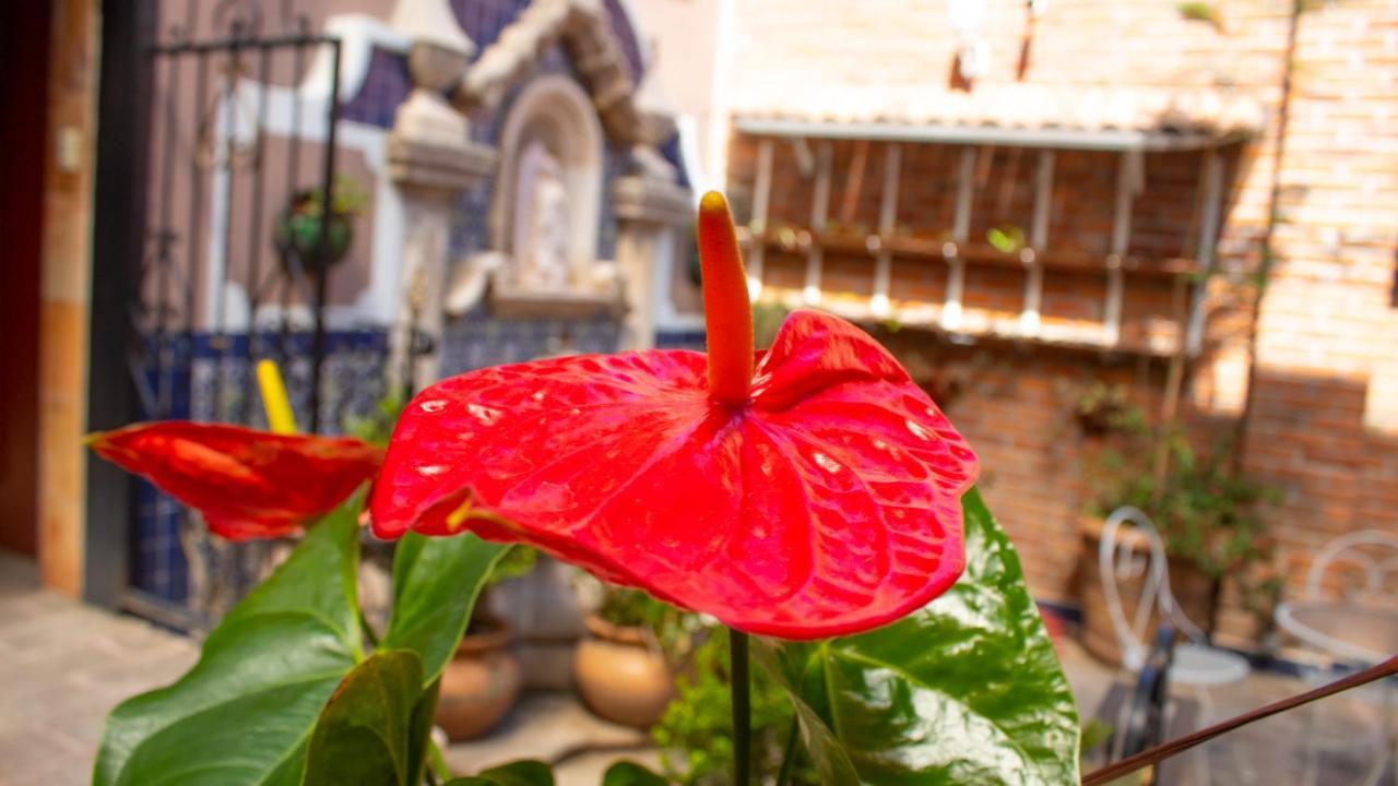 Mansion Mijashe Wellness & Travel House Hotel Morelia Eksteriør billede